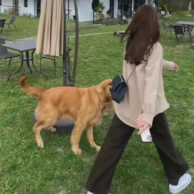 布莱恩·班克斯